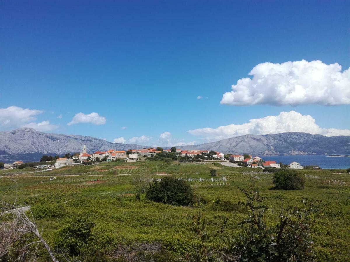 Adrian'S Apartments & Winery Lumbarda Ngoại thất bức ảnh