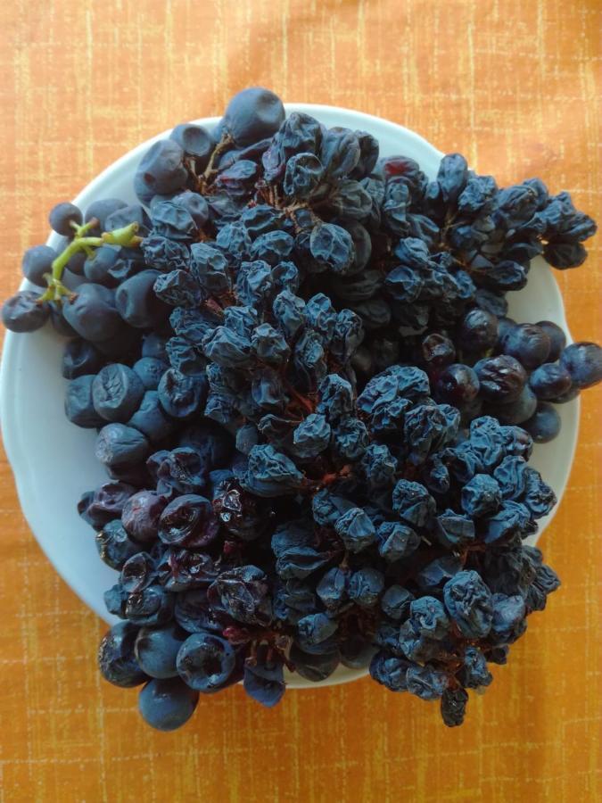 Adrian'S Apartments & Winery Lumbarda Ngoại thất bức ảnh